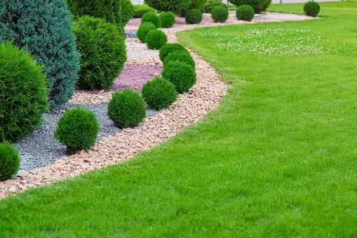 Walkway and steps project